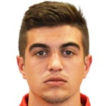 Aleksandar Mesarovic