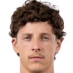 Domagoj Bradarić